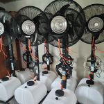 mistyfan